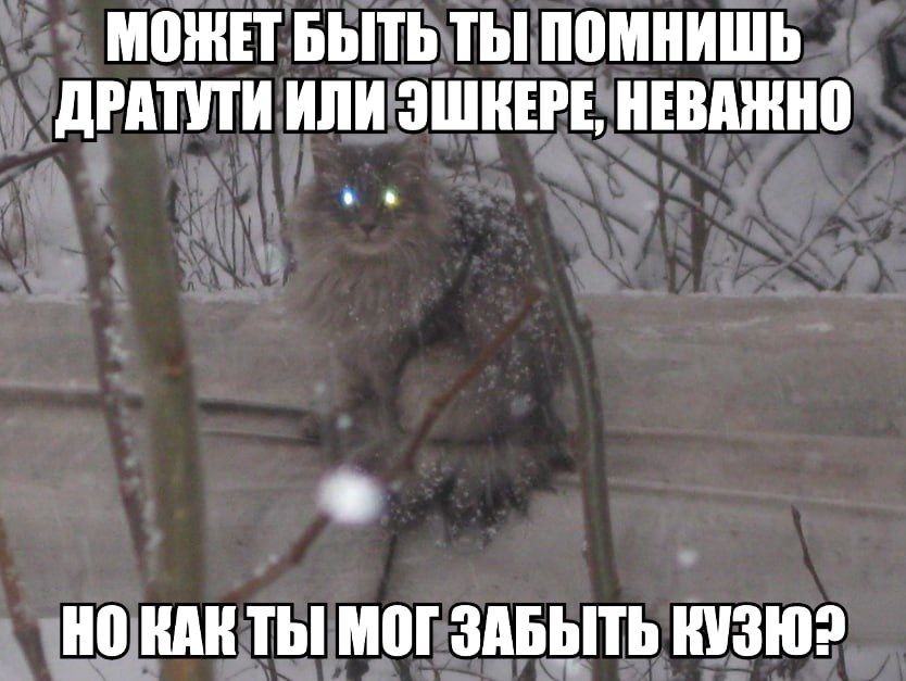 МОЖЕТ БЫТЬ ТЫ ПОМНИШЬ ДРАТУТИ ИЛИ ЭШКЕРЕ НЕВАЖНО НОКАКТЫ МОГ ЗАБЫТЬ КУЗЮ?