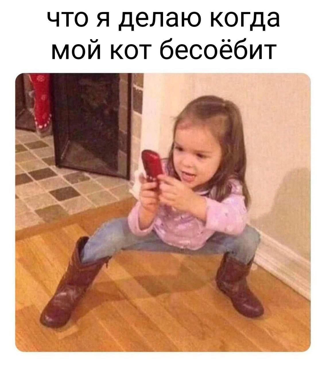 что я делаю когда мой кот бесоёбит
