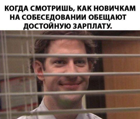 КОГДА СМОТРИШЬ, КАК НОВИЧКАМ НА СОБЕСЕДОВАНИИ ОБЕЩАЮТ ДОСТОЙНУЮ ЗАРПЛАТУ.