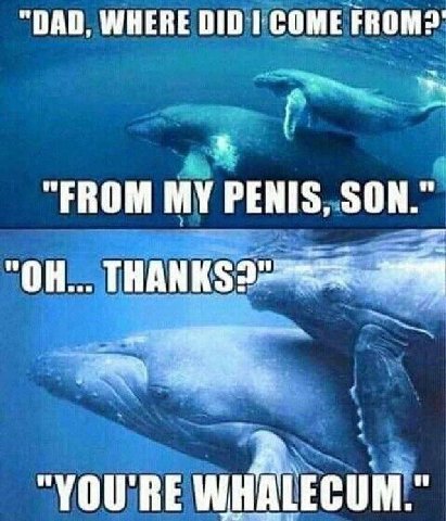 "DAD, WHERE DID COME “FROM PENIS, SON.” "ОН... "YOU'RE WHALECUM.”