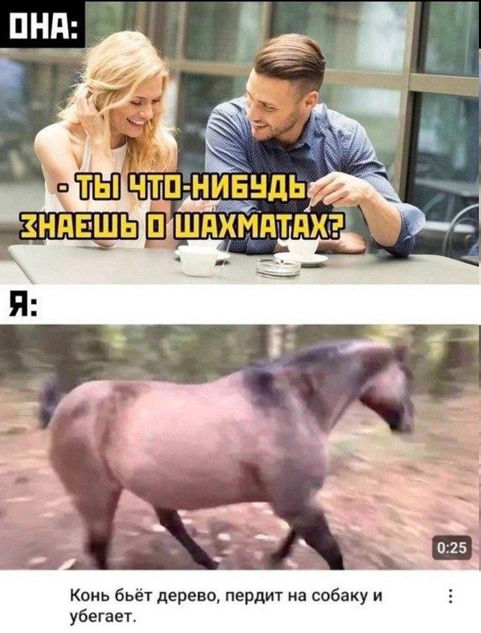 Конь бьёт дерево, пердит на собаку и убегает.