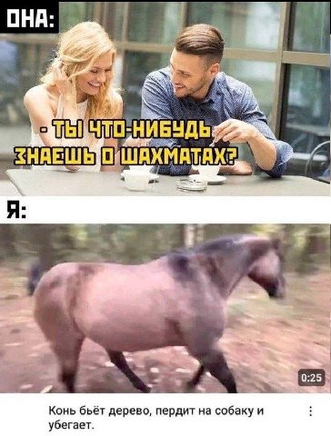 Конь бьёт дерево, пердит на собаку и убегает.