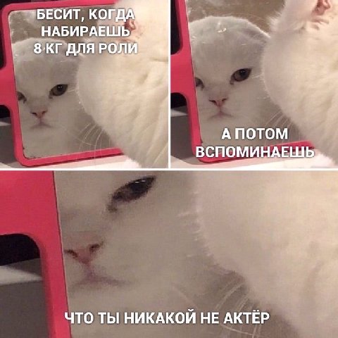 актриса