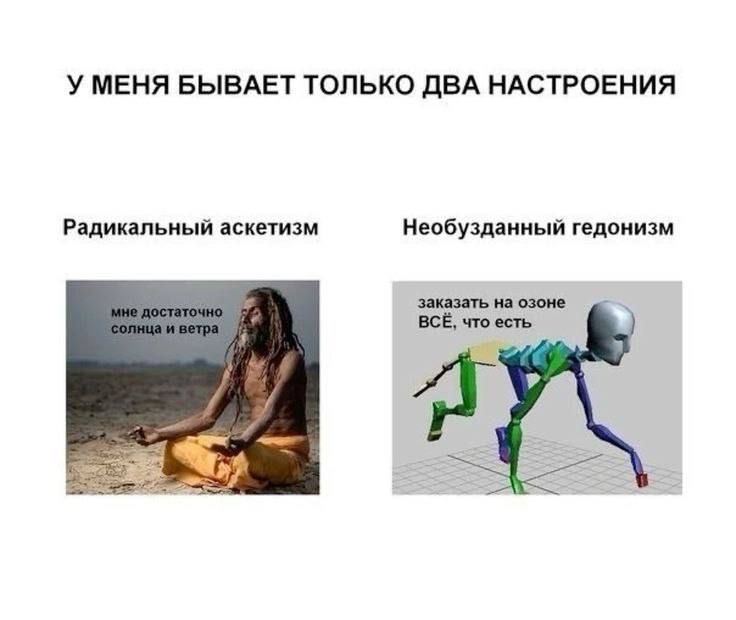 У МЕНЯ БЫВАЕТ ТОЛЬКО ДВА НАСТРОЕНИЯ Радикальный аскетизм Необузданный гедонизм заказать на озоне ВСЁ, что есть