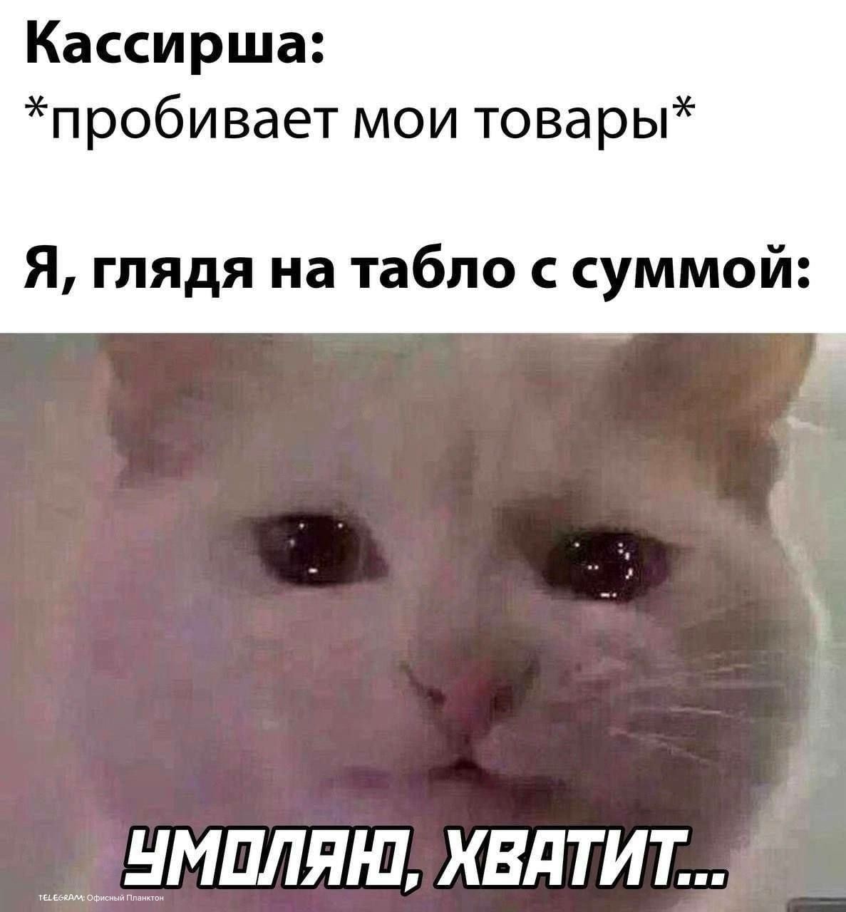 Кассирша: *пробивает мои товары* Я, глядя на табло с TELEGRAM: Офисный Планктон