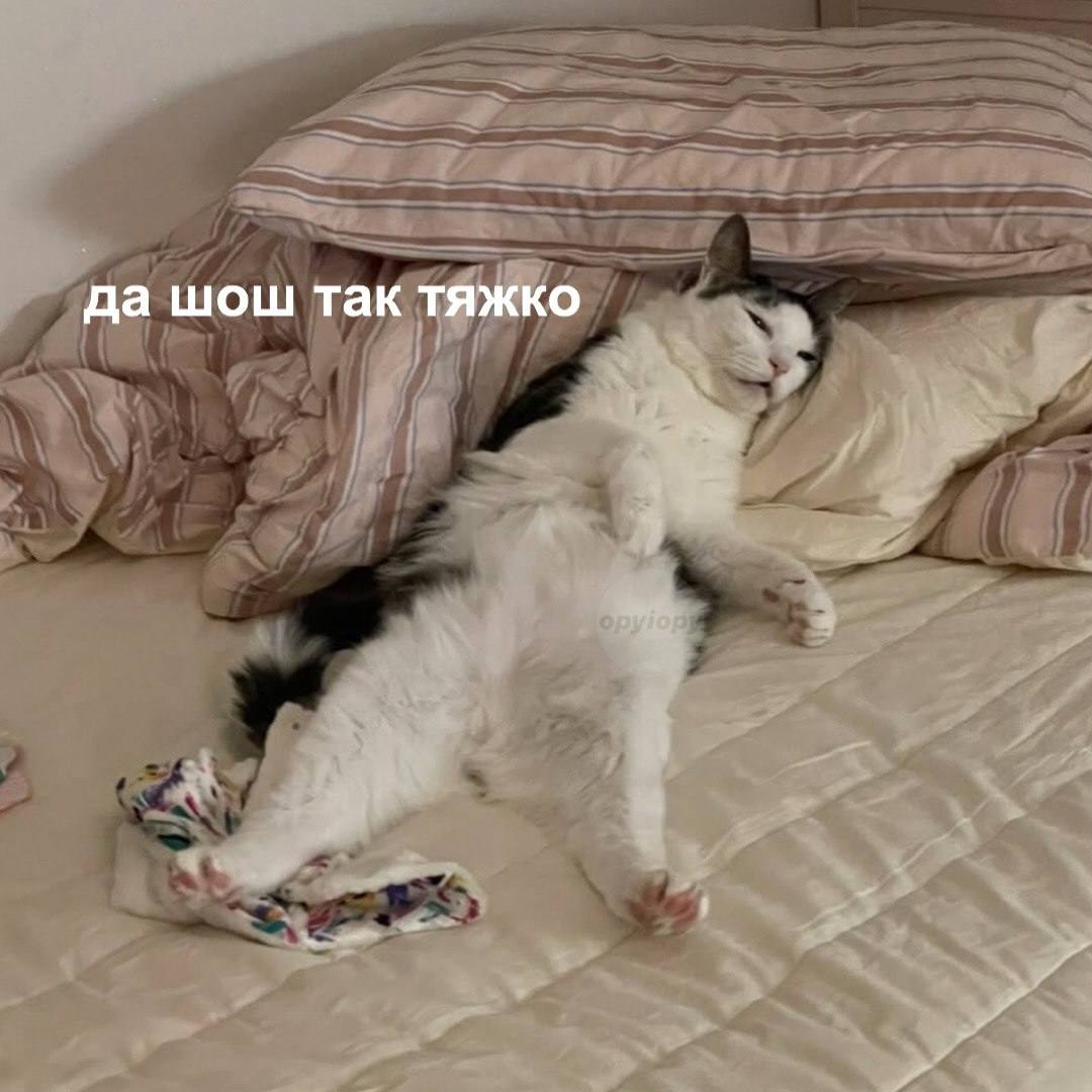 да шош так тяжко