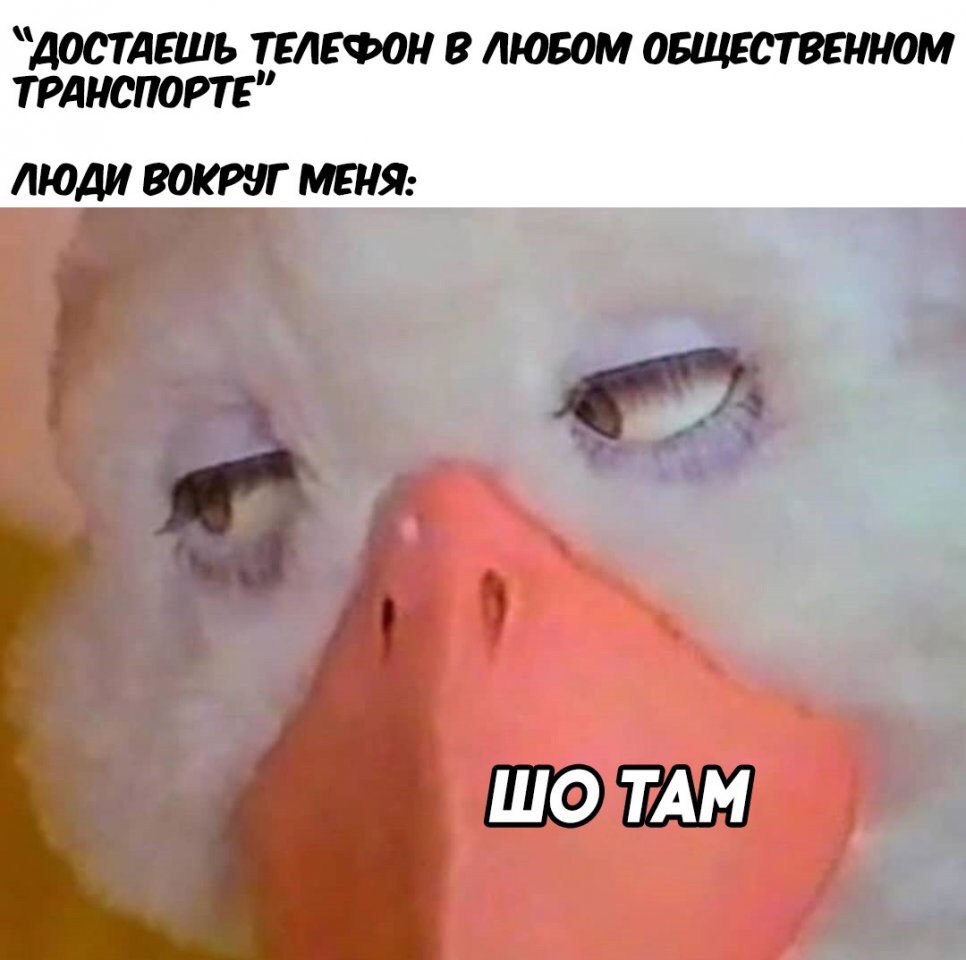 “ДОСТДЕШЬ ТЕЛЕФОН В ЛЮБОМ ОБЩЕСТВЕННОМ ТРАНСПОРТЕ" ЛЮДИ ВОКРУГ МЕНЯ: ТАМ