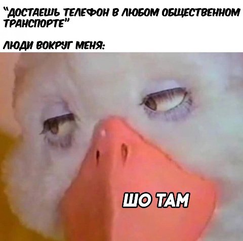 “ДОСТДЕШЬ ТЕЛЕФОН В ЛЮБОМ ОБЩЕСТВЕННОМ ТРАНСПОРТЕ" ЛЮДИ ВОКРУГ МЕНЯ: ТАМ