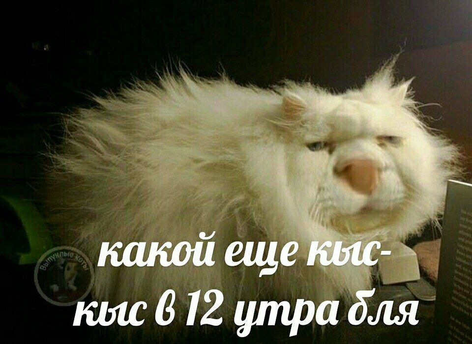 какой еще кыс- 612 утра для