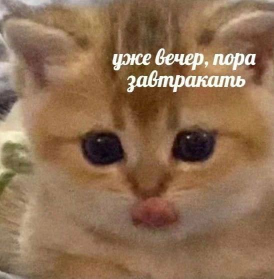 уже вечер, пора завтракать