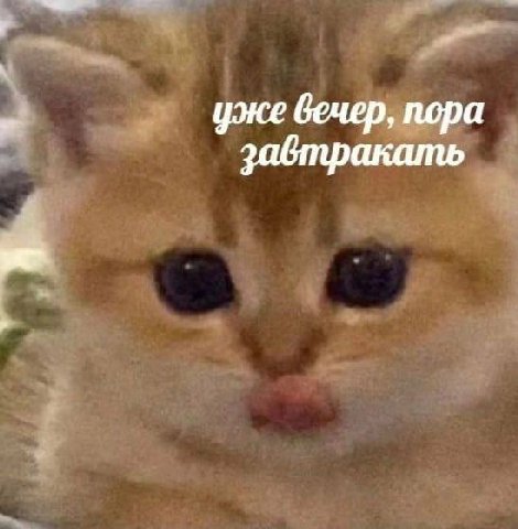 уже вечер, пора завтракать