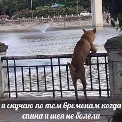 as 4 we. 3 я скучаю по тем бременам когда слина и шея не болели