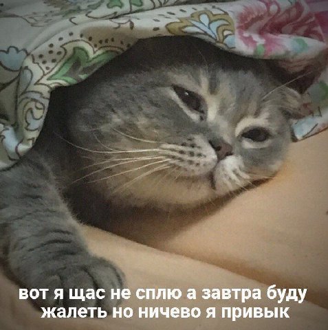 вот я щас не сплю а завтра буду жалеть но ничево я привык