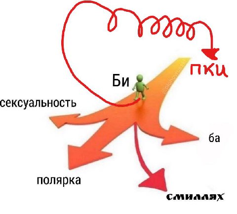 сексуальность полярка смиллях