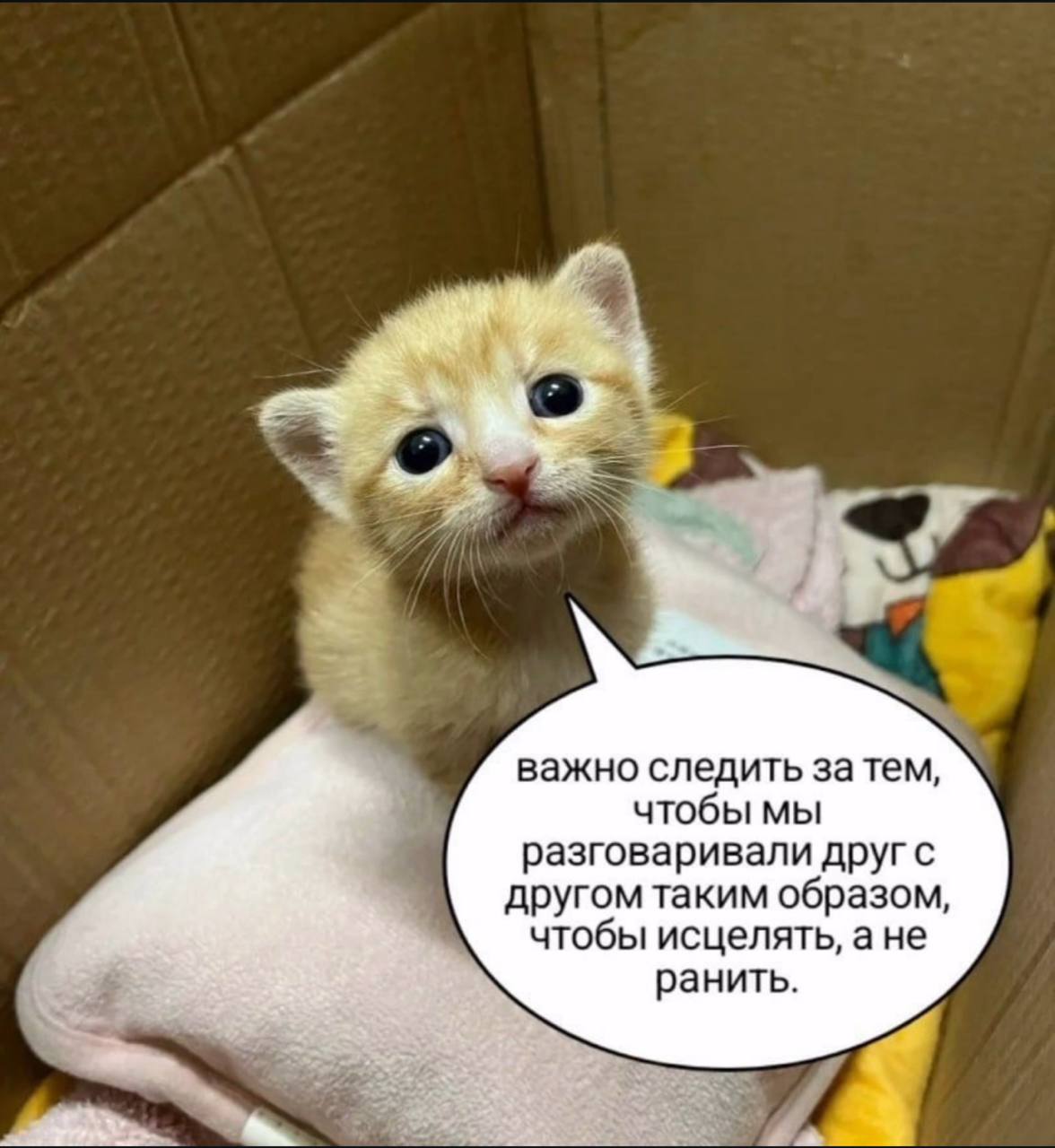 4 важно следить затем, чтобы мы разговаривали другс другом таким образом, чтобы исцелять, ане ранить.