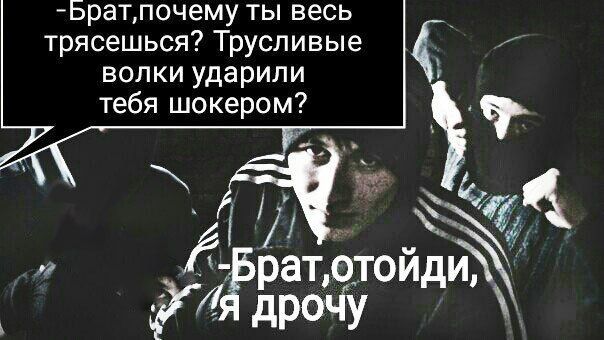 -Брат‚,почему ты весь трясешься? Трусливые волки ударили тебя шокером? рат, дрочу