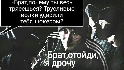 -Брат‚,почему ты весь трясешься? Трусливые волки ударили тебя шокером? рат, дрочу