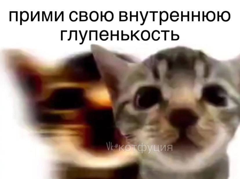 прими свою внутреннюю глупенькость