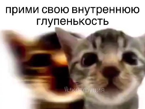 прими свою внутреннюю глупенькость