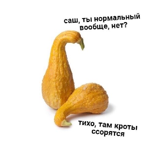 саш, ты нормальный вообще, нет? ТИхо, там кроты ссорятся