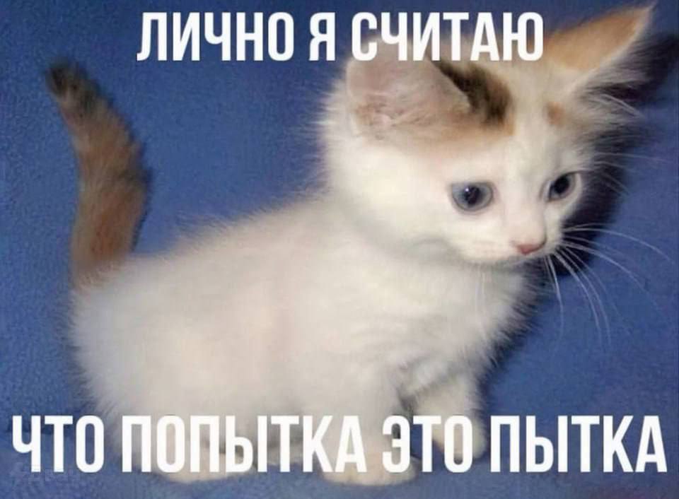ЛИЧНО Я СЧИТАЮ ЧТО ПОПЫТКА ЭТО ПЫТКА