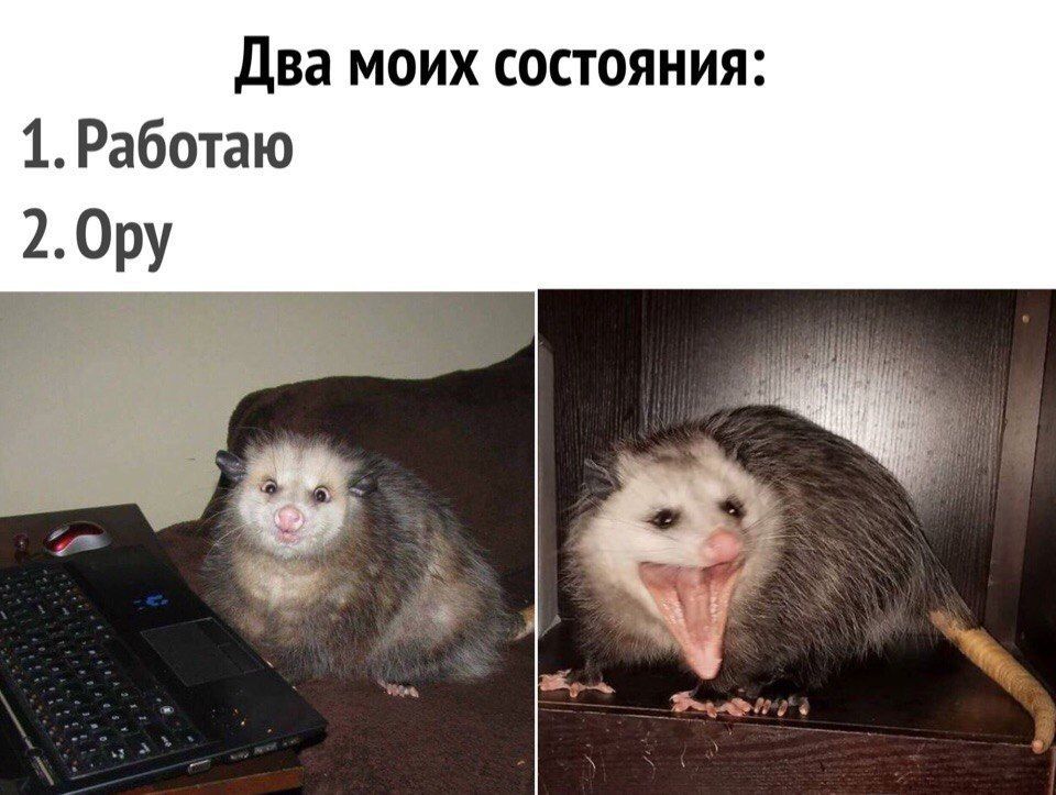 Два моих состояния: 1.Работаю 2.Ору