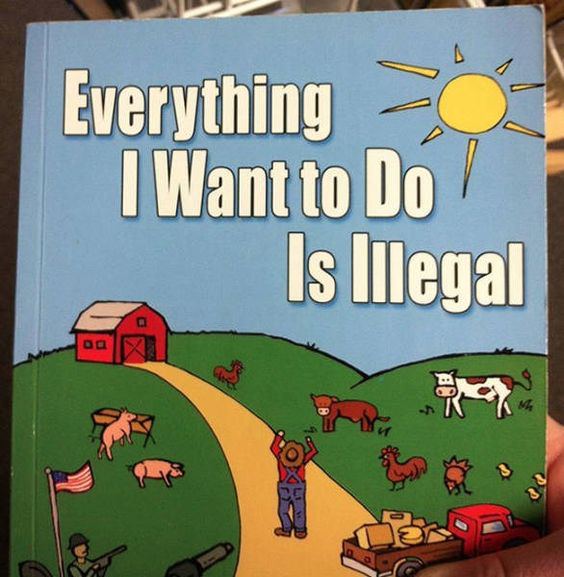 Everything