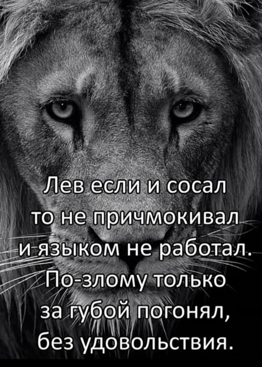 Мой ответ на твой "Сосал?"
