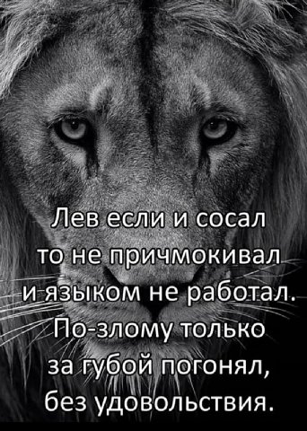 Мой ответ на твой "Сосал?"