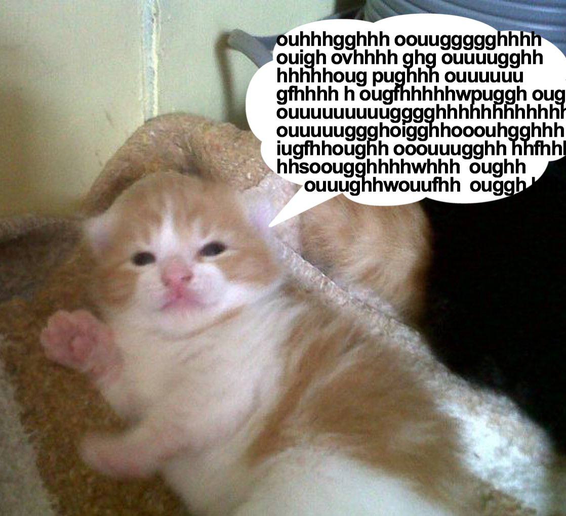 uhhhgghhh ouigh ouuuugghh hhhhhoug pughhh оцицици gfhhhh oug hhhhhhh ouuuuuggahoigg hooouhgahhh iugfhhoughh ooouuugghh hhsoougghhhhwhhh oughh ouuughhwouufhh ougg