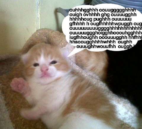uhhhgghhh ouigh ouuuugghh hhhhhoug pughhh оцицици gfhhhh oug hhhhhhh ouuuuuggahoigg hooouhgahhh iugfhhoughh ooouuugghh hhsoougghhhhwhhh oughh ouuughhwouufhh ougg