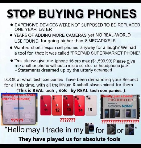 EXPENSIVE DEVICES WERE NOT SUPPOSED TO REPLACED ONE YEAR LATER YEARS OF ADDING MORE CAMERAS yet NO REAL-WORLD USE FOUND for going higher than 8 MEGAPIXELS Wanted short lifespan cell phones anyway for 