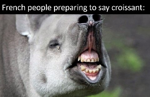 French people preparing to say croissant: