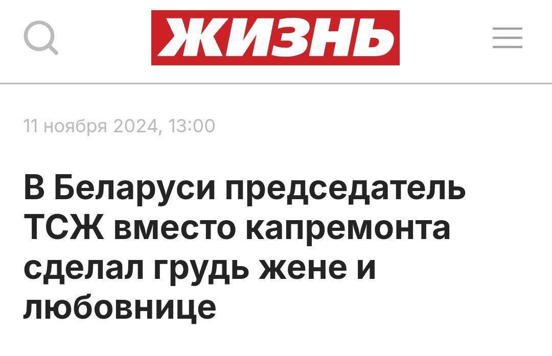 В Беларуси председатель ТСЖ вместо капремонта сделал грудь жене и любовнице