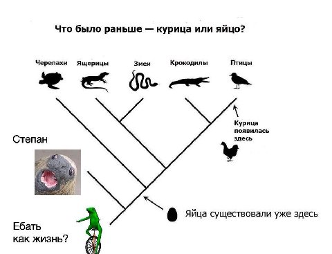 Что было раньше курица или яйцо? Черепахи Ящерицы Змеи Крокодилы Птицы Курица появилась Степан здесь Яйца существовали уже здесь Ебать как жизнь?