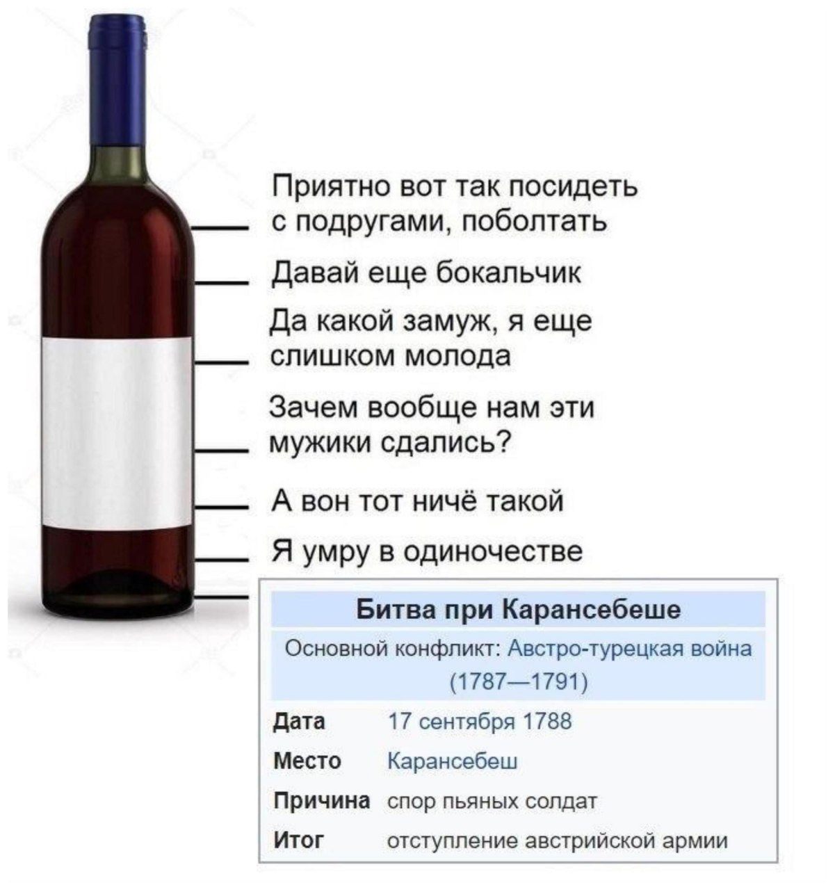 Приятно вот так посидеть с подругами, поболтать Давай еще бокальчик Да какой замуж, я еще слишком молода Зачем вообще нам эти мужики сдались? А вон тот ничё такой Я умру в одиночестве Битва при Каранс