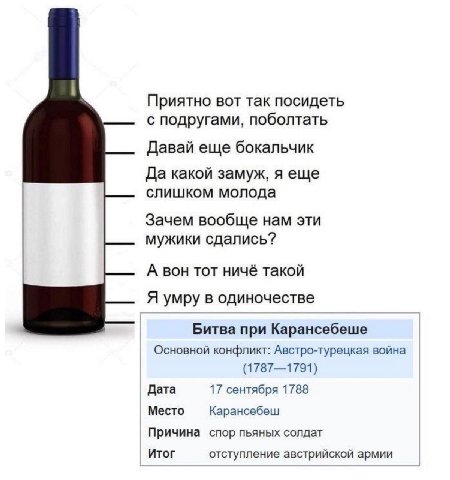 Приятно вот так посидеть с подругами, поболтать Давай еще бокальчик Да какой замуж, я еще слишком молода Зачем вообще нам эти мужики сдались? А вон тот ничё такой Я умру в одиночестве Битва при Каранс