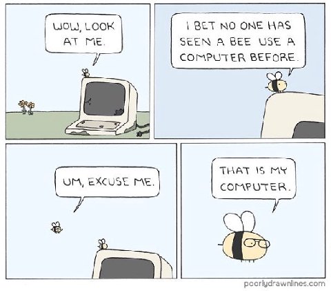 LOL, LOOK ВЕТ NO ONE HAS AT Me. SEEN A BEE USE А COMPUTER BEFORE. $2 THAT MY poorlydrawnlines.com