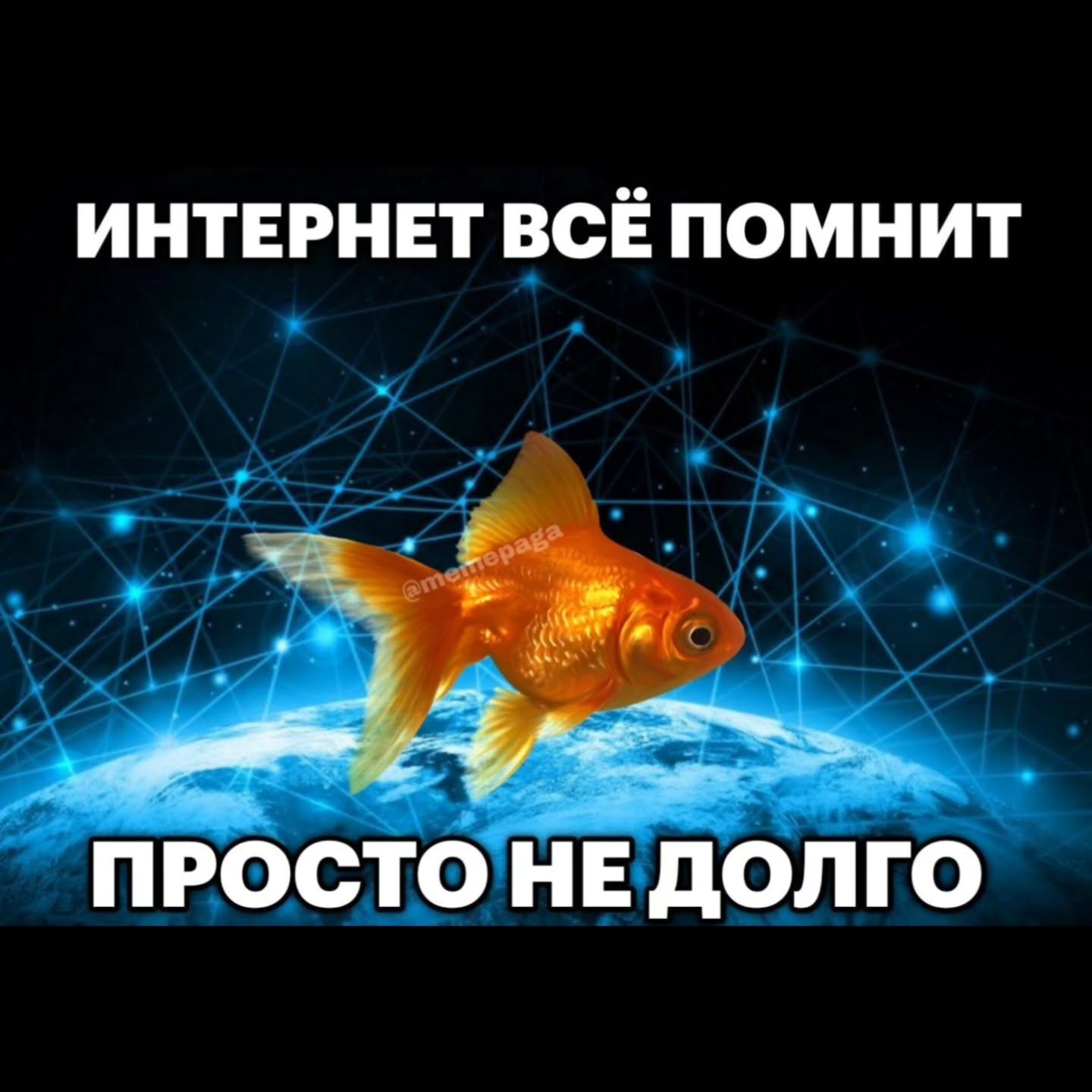 ИНТЕРНЕТ ВСЕ ПОМНИТ ПРОСТО НЕ ДОЛГО