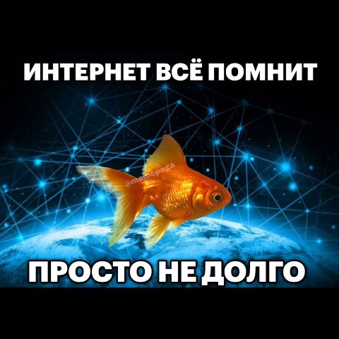 ИНТЕРНЕТ ВСЕ ПОМНИТ ПРОСТО НЕ ДОЛГО