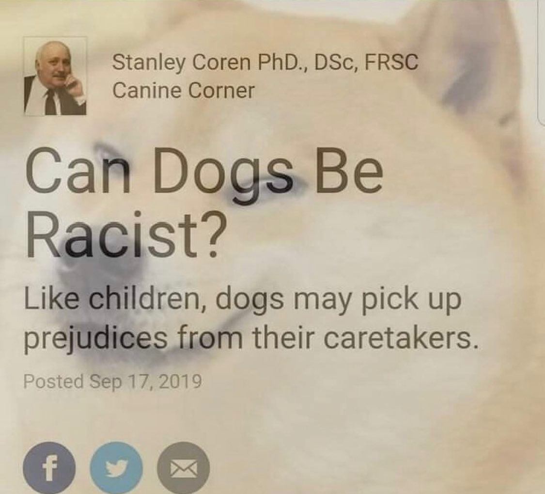 К Stanley Coren Сапте Согпег 4 Сай Dogs.Be Ragist? dogs may pick up from their caretakers. Posted Sep 17, 2019