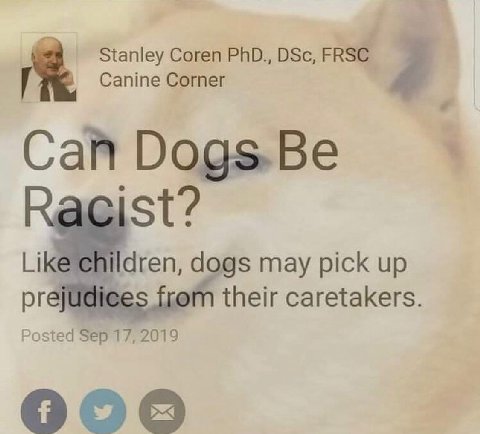 К Stanley Coren Сапте Согпег 4 Сай Dogs.Be Ragist? dogs may pick up from their caretakers. Posted Sep 17, 2019