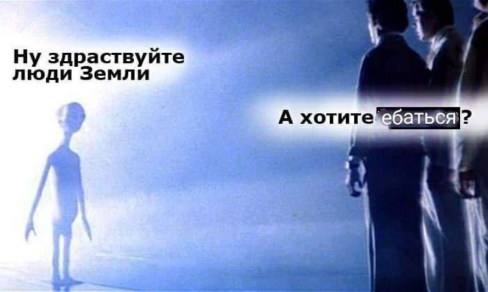 Ну здраствуйте люди Земли A хотите ебаться 2$