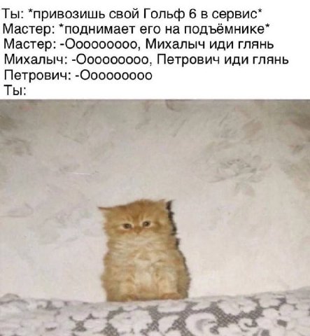 Ты: *привозишь свой Гольф 6 в сервис* Мастер: *поднимает его на подъёмнике* Мастер: -Ooo000000, Михалыч иди глянь Михалыч: Петрович иди глянь Петрович: -Ooo000000 Ты: