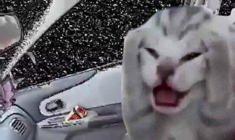 4 4 у у 4 1 у у у с