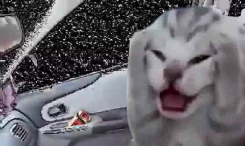 4 4 у у 4 1 у у у с