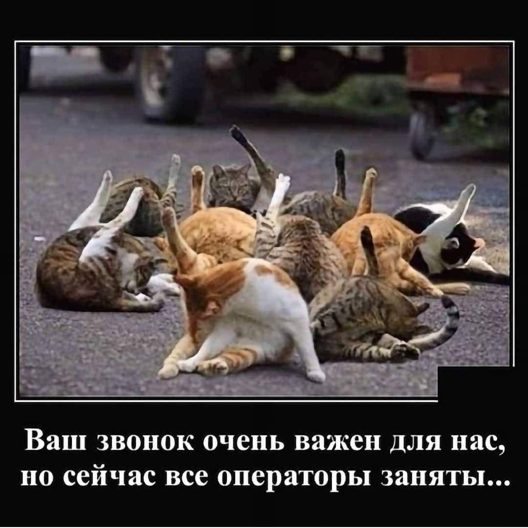 Ваш звонок очень важен для нас, но сейчас все операторы заняты...