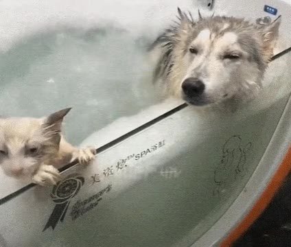 мем
