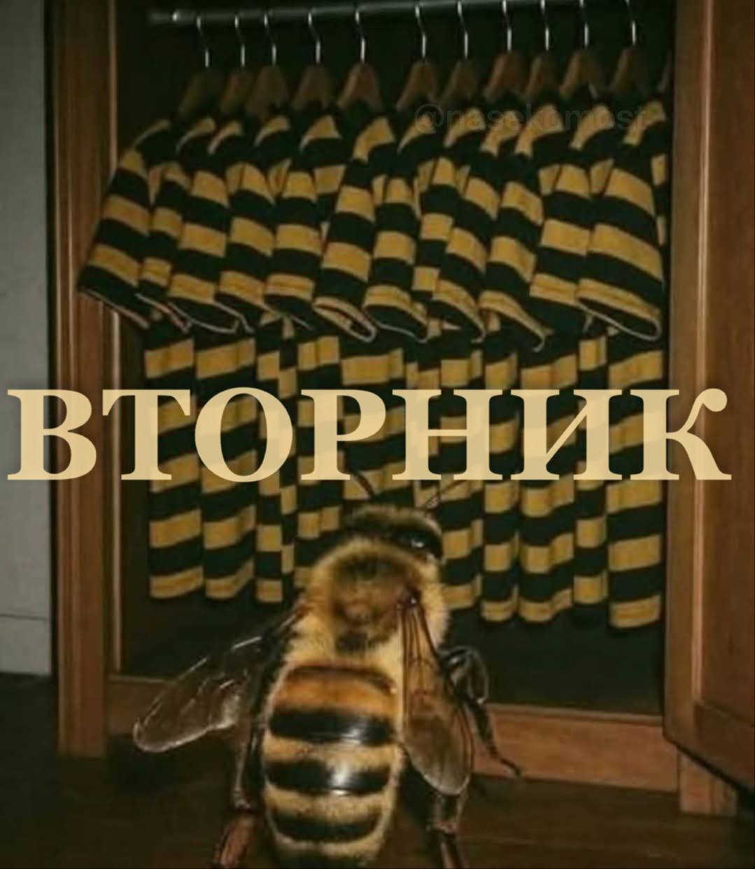 ВТОРНИК