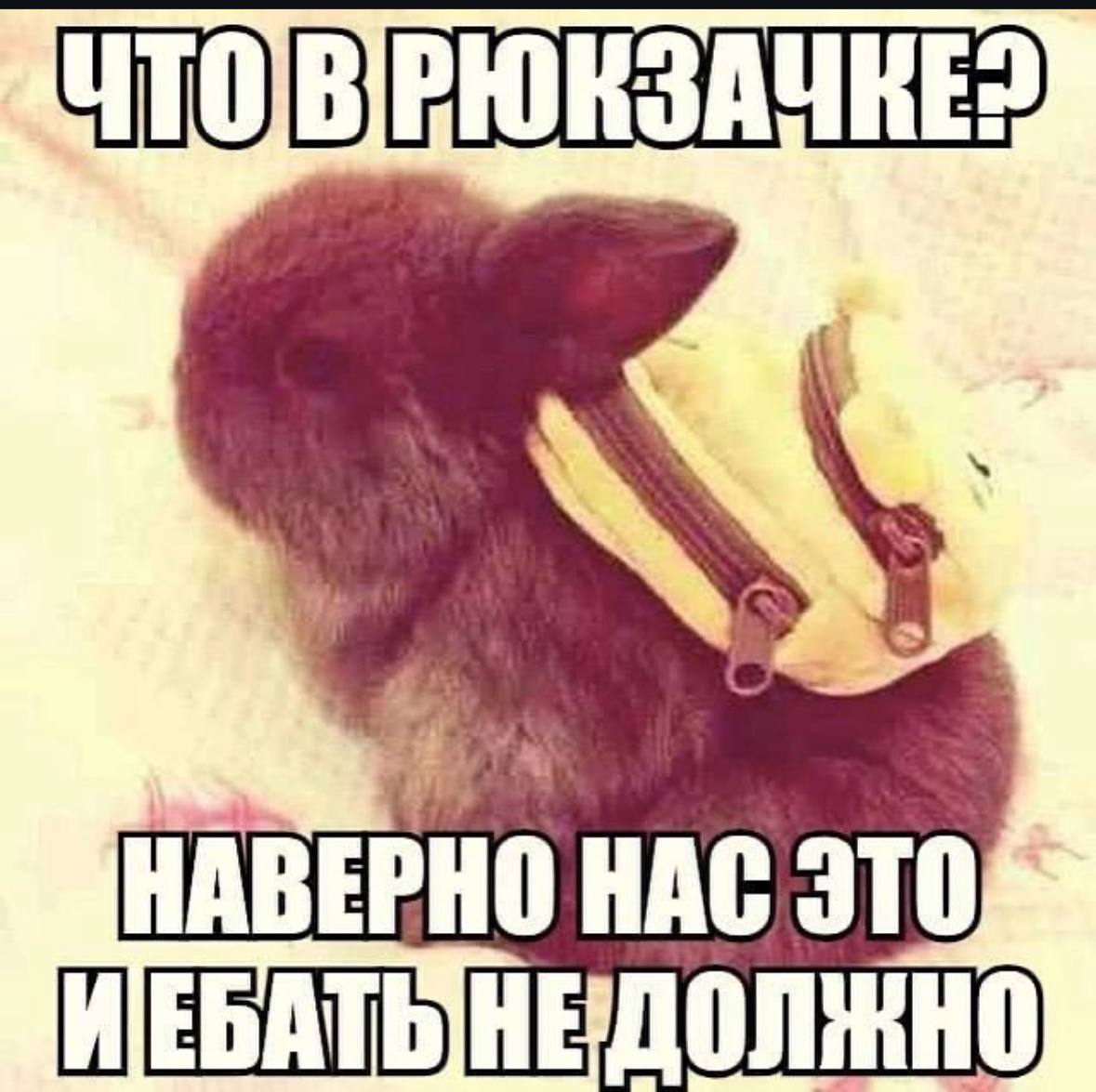 НАВЕРНО НАС ЭТО